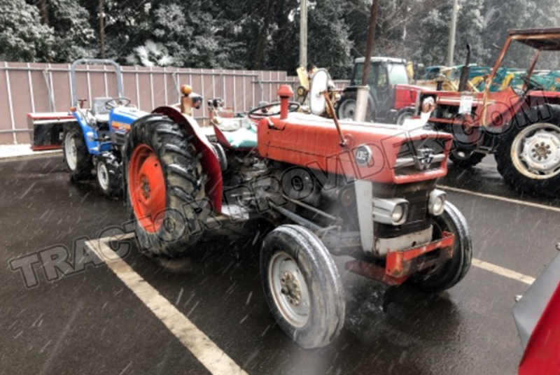 Massey Ferguson / MF-135