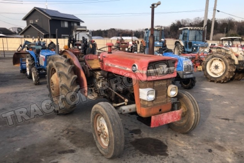 Massey Ferguson / MF-135 Stock No. TP11185911