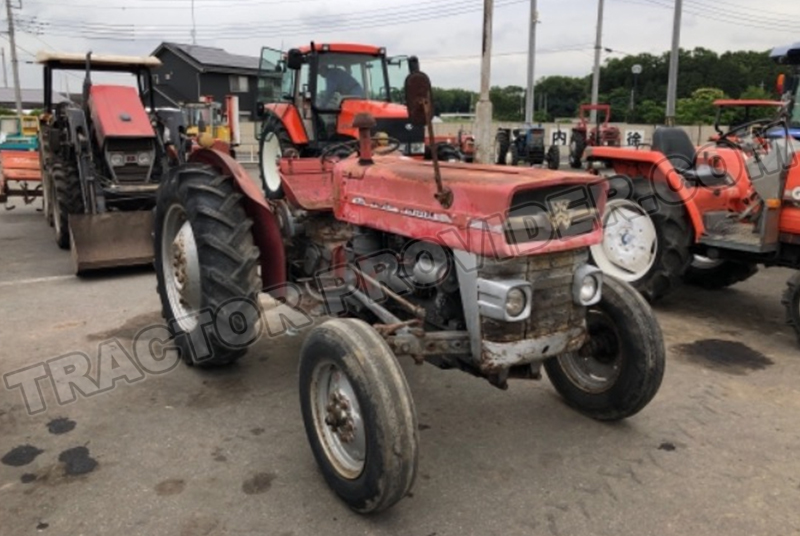 Massey Ferguson / MF-135