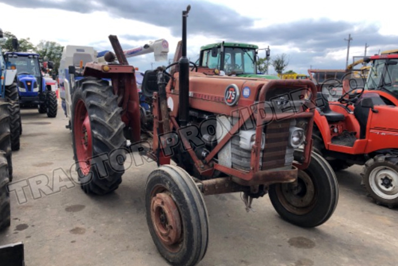 Massey Ferguson / MF-175 Stock No. TP11211911