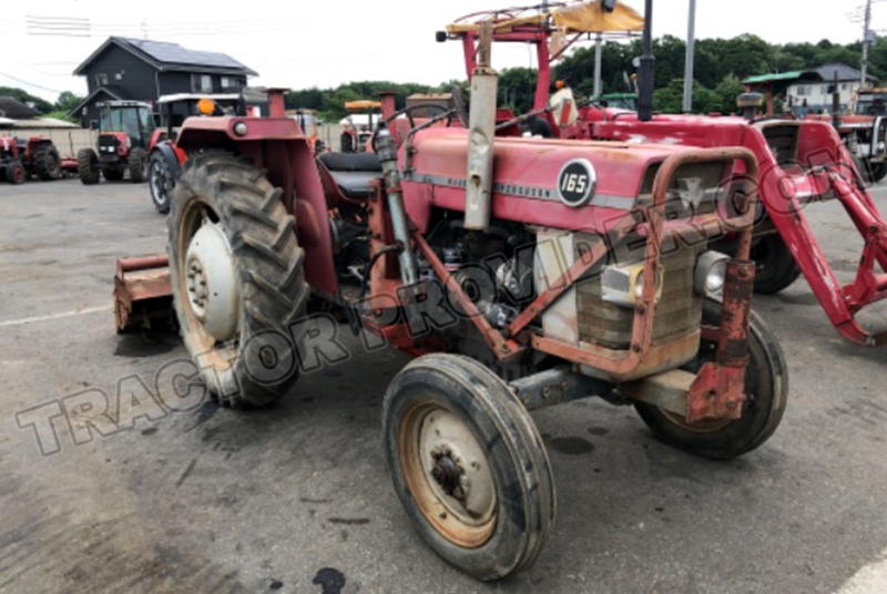 Massey Ferguson / MF-165